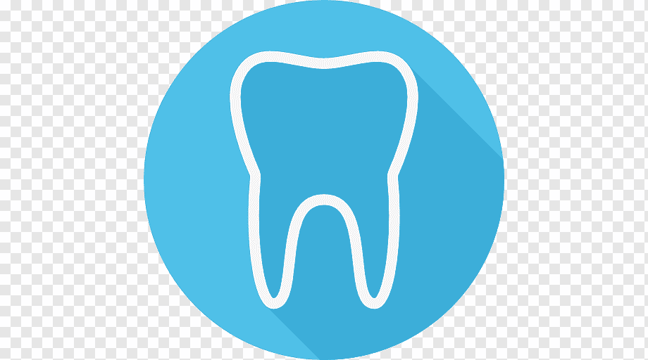 Looking for someone who has studied or is studying dentistry to assist me during working hours